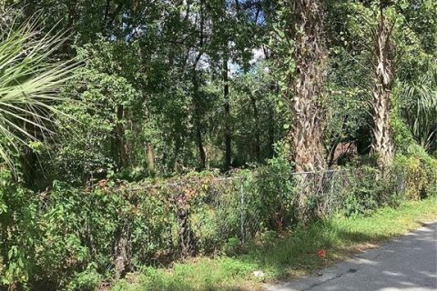 Land in Ocala, Florida № 2164249