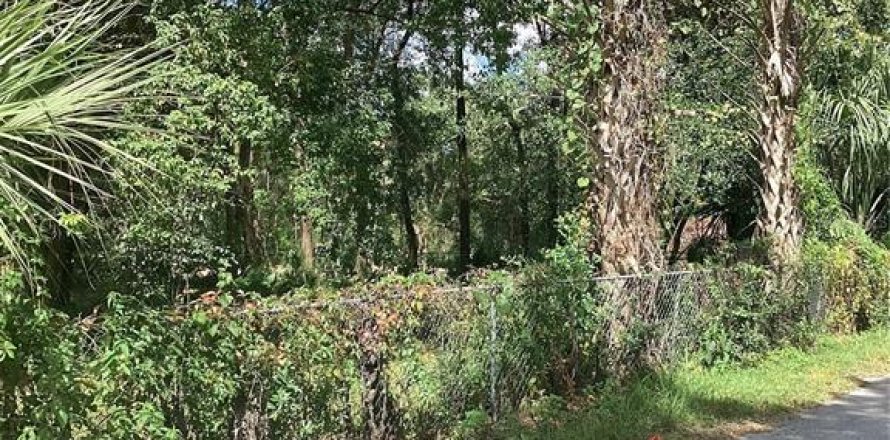 Land in Ocala, Florida № 2164249