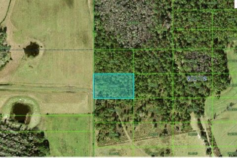 Terreno en Polk City, Florida № 2235141