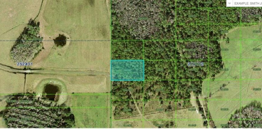 Terrain à Polk City, Floride № 2235141