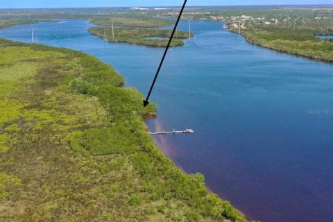 Land in Punta Gorda, Florida № 2161805 - photo 2
