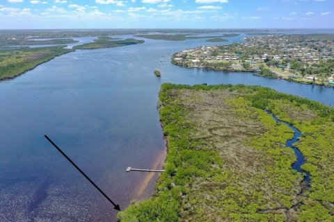 Land in Punta Gorda, Florida № 2161805