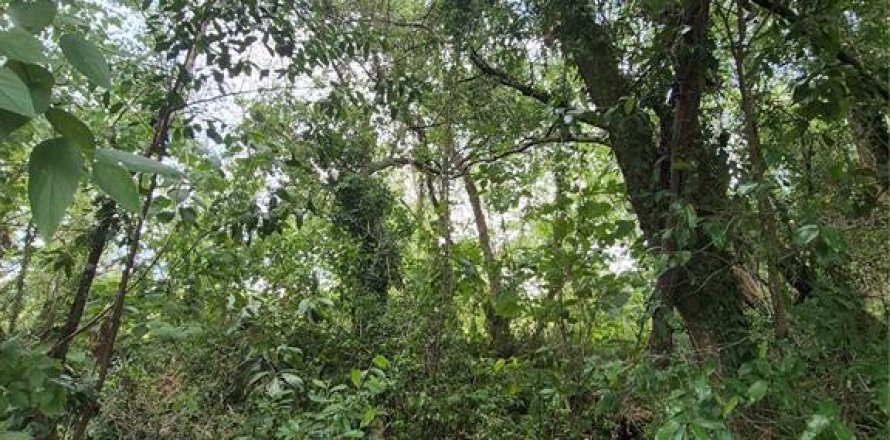 Terreno en Anthony, Florida № 2112359