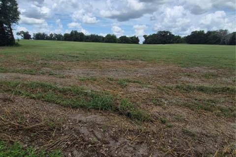 Terreno en venta en Anthony, Florida № 2112359 - foto 3