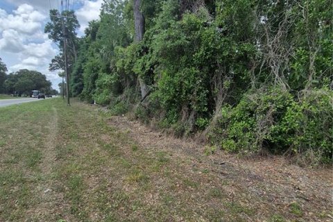 Terreno en venta en Anthony, Florida № 2112359 - foto 4