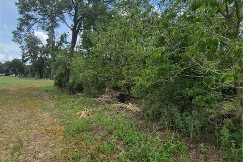 Terreno en venta en Anthony, Florida № 2112359 - foto 8