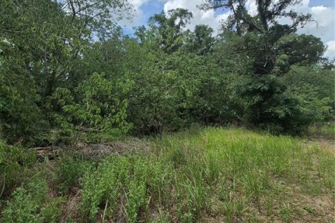 Terreno en venta en Anthony, Florida № 2112359 - foto 7