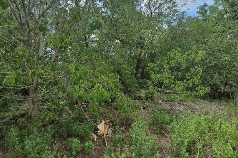 Terreno en venta en Anthony, Florida № 2112359 - foto 6