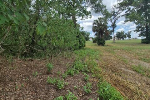 Terreno en venta en Anthony, Florida № 2112359 - foto 2
