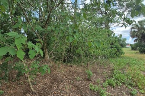 Terreno en venta en Anthony, Florida № 2112359 - foto 5