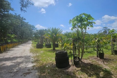 Land in Bradenton, Florida № 2166727 - photo 11