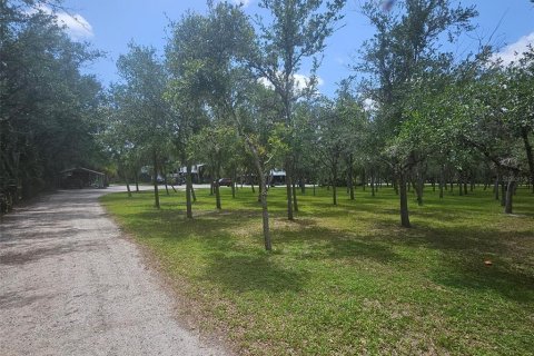 Land in Bradenton, Florida № 2166727 - photo 15