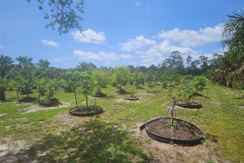 Land in Bradenton, Florida № 2166727 - photo 12