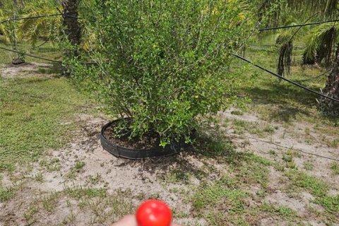 Land in Bradenton, Florida № 2166727 - photo 8
