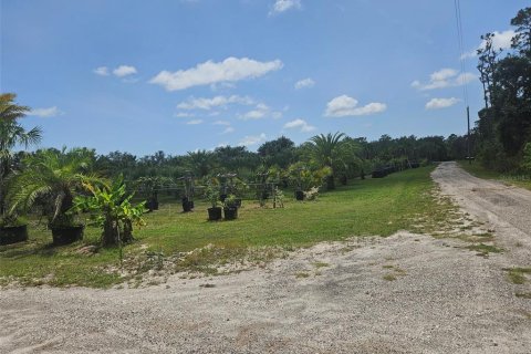 Land in Bradenton, Florida № 2166727 - photo 9