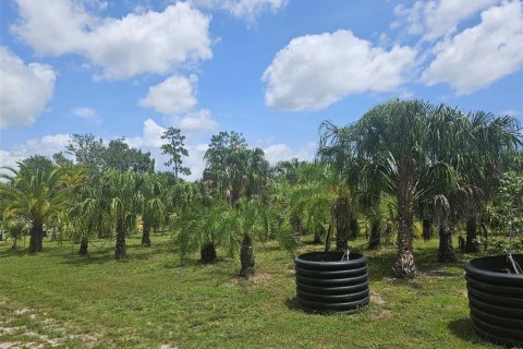 Land in Bradenton, Florida № 2166727 - photo 6