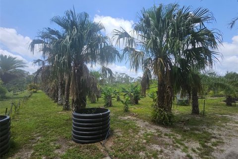 Land in Bradenton, Florida № 2166727 - photo 13