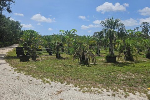 Land in Bradenton, Florida № 2166727 - photo 10