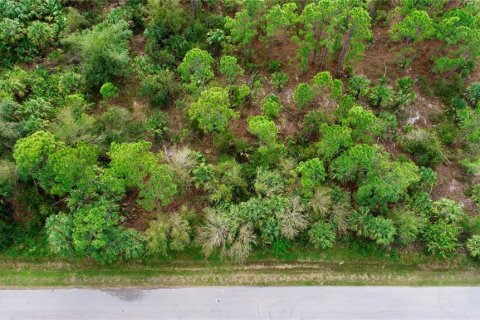 Land in Punta Gorda, Florida № 2206313 - photo 3