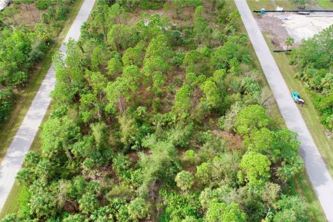Land in Punta Gorda, Florida № 2206313 - photo 2