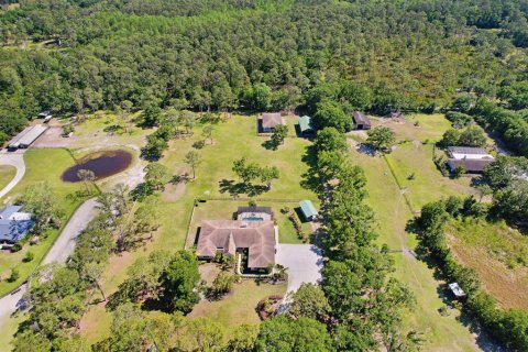 House in Tarpon Springs, Florida 4 bedrooms, 398.74 sq.m. № 1769683 - photo 3