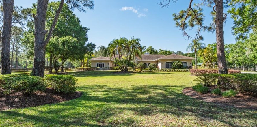 House in Tarpon Springs, Florida 4 bedrooms, 398.74 sq.m. № 1769683