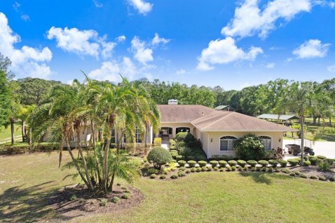 House in Tarpon Springs, Florida 4 bedrooms, 398.74 sq.m. № 1769683 - photo 5