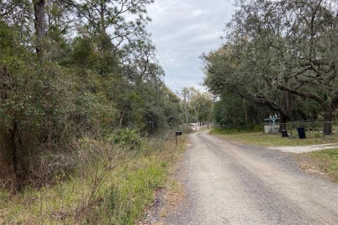 Land in New Port Richey, Florida № 1018711 - photo 9