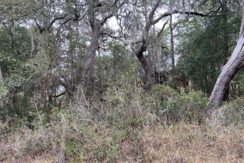 Land in New Port Richey, Florida № 1018711 - photo 6