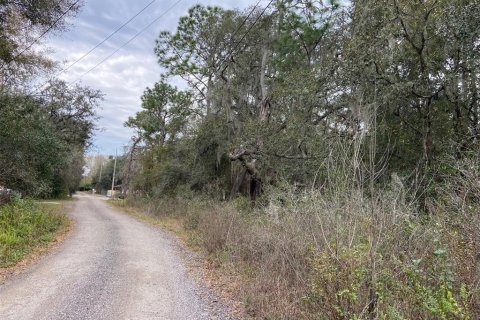 Land in New Port Richey, Florida № 1018711 - photo 10