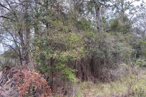 Land in New Port Richey, Florida № 1018711 - photo 2