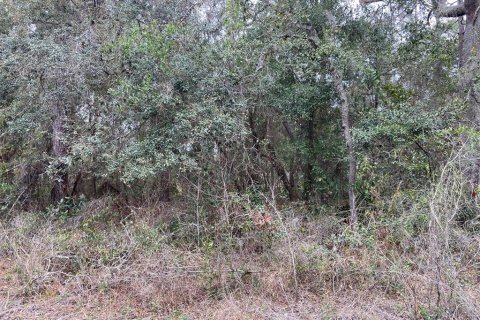 Land in New Port Richey, Florida № 1018711 - photo 5