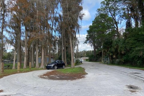 Land in New Port Richey, Florida № 1018711 - photo 13