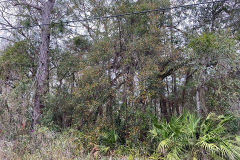 Land in New Port Richey, Florida № 1018711 - photo 3
