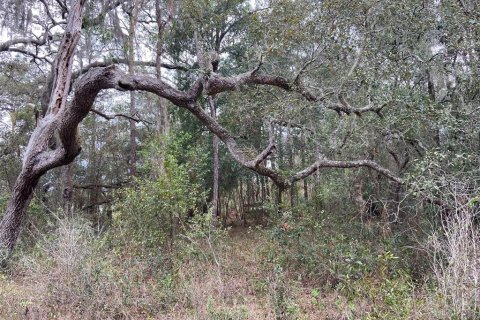 Land in New Port Richey, Florida № 1018711 - photo 1