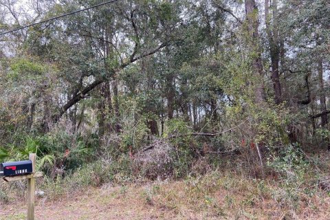 Land in New Port Richey, Florida № 1018711 - photo 4