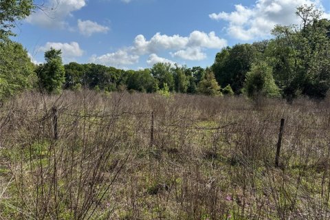 Terrain à vendre à Ocala, Floride № 2212264 - photo 3