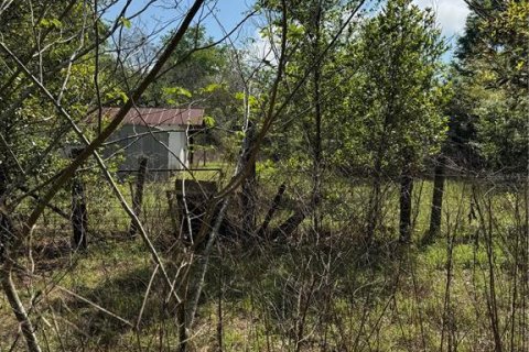 Terrain à vendre à Ocala, Floride № 2212264 - photo 4