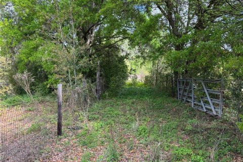 Terrain à vendre à Ocala, Floride № 2212264 - photo 6