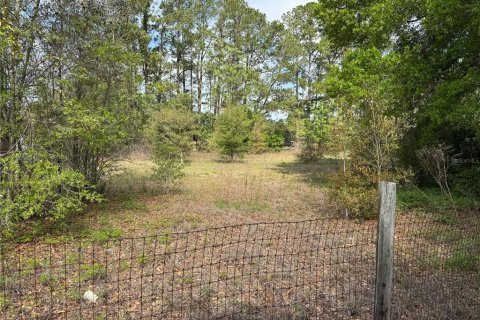Terrain à vendre à Ocala, Floride № 2212264 - photo 5
