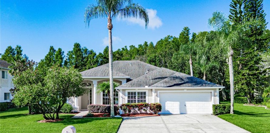 Villa ou maison à Lutz, Floride 4 chambres, 251.49 m2 № 1909195
