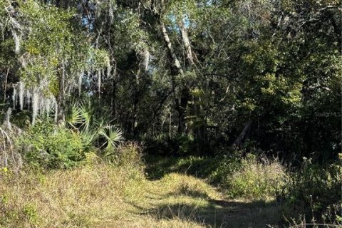 Terreno en venta en DeLand, Florida № 1534510 - foto 5