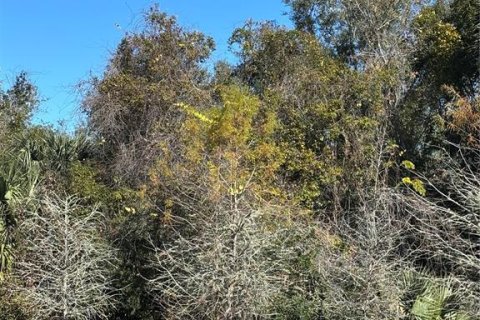 Terreno en venta en DeLand, Florida № 1534510 - foto 6