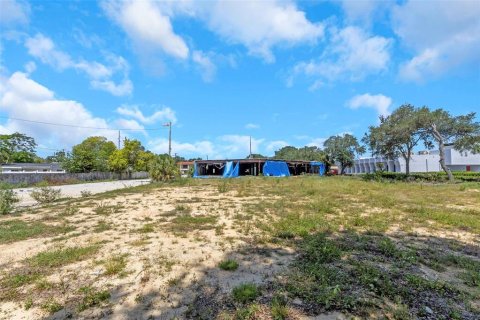 Land in Tampa, Florida № 1582185 - photo 5