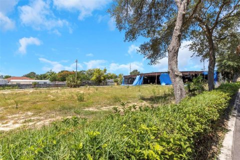 Land in Tampa, Florida № 1582185 - photo 8
