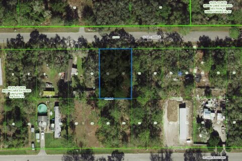 Terrain à New Port Richey, Floride № 2161474