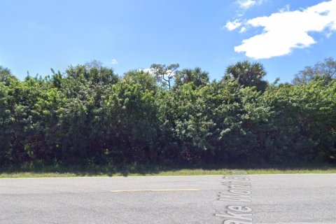 Land in Port Charlotte, Florida № 2224112 - photo 4