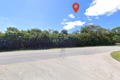 Land in Port Charlotte, Florida № 2224112 - photo 2