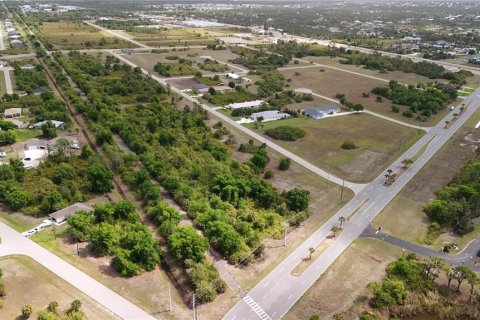 Land in Rotonda, Florida № 2163428 - photo 24