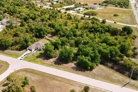 Land in Rotonda, Florida № 2163428 - photo 4